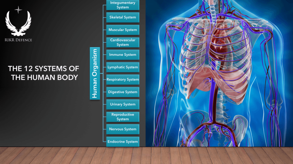12-body-systems