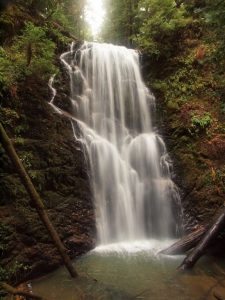 berry-creek-falls-flow-scott-peden