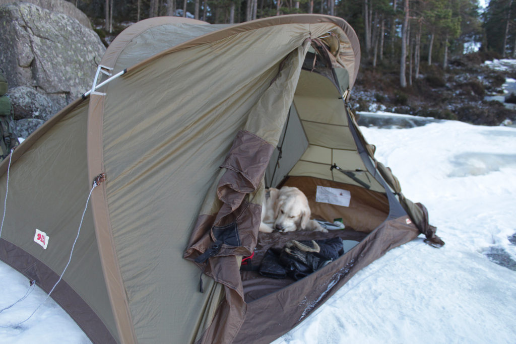 Tent Review~The Fjällräven Abisko 2 • Spotter