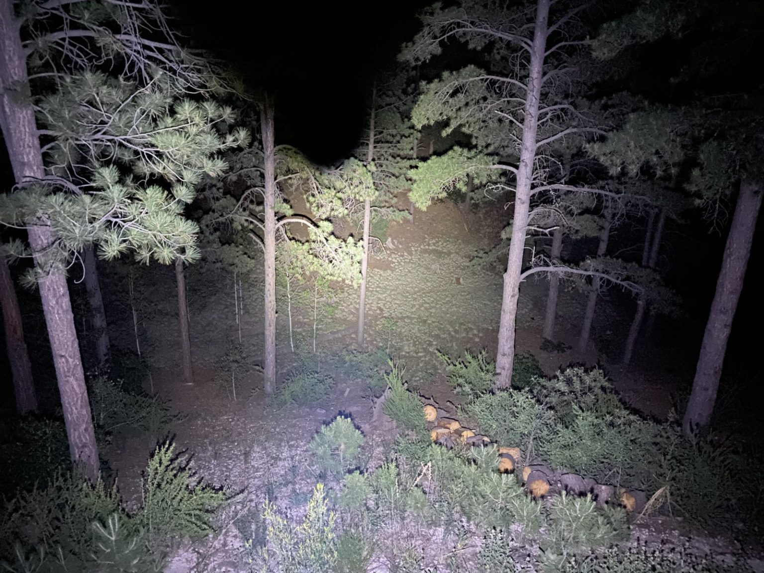 Streamlight TL-Racker • Spotter Up