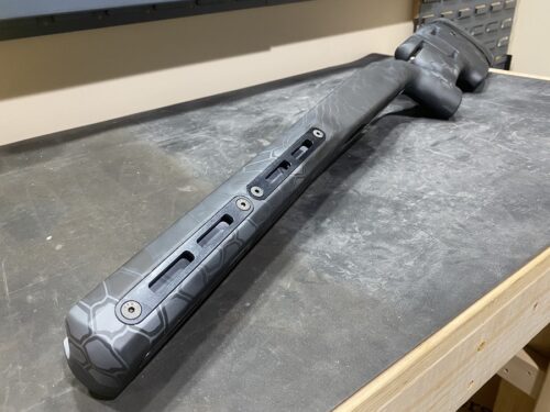 image of grayboe ridgeback stock
