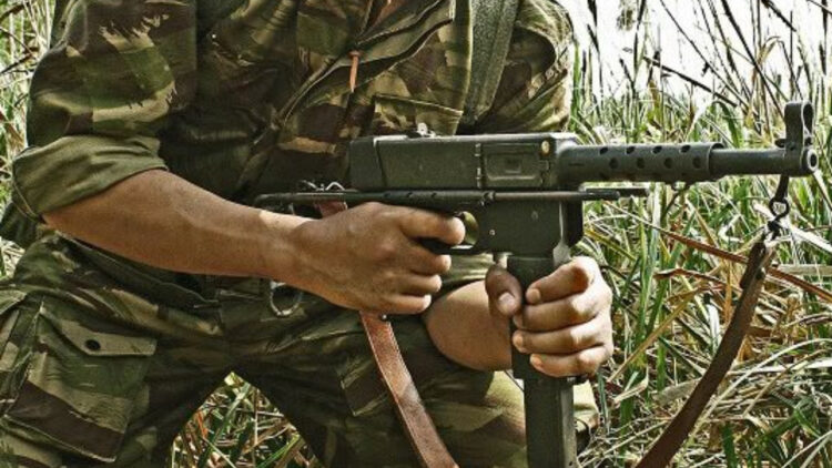 Vietnam Tiger Stripe Camo Stencils -- Rifle