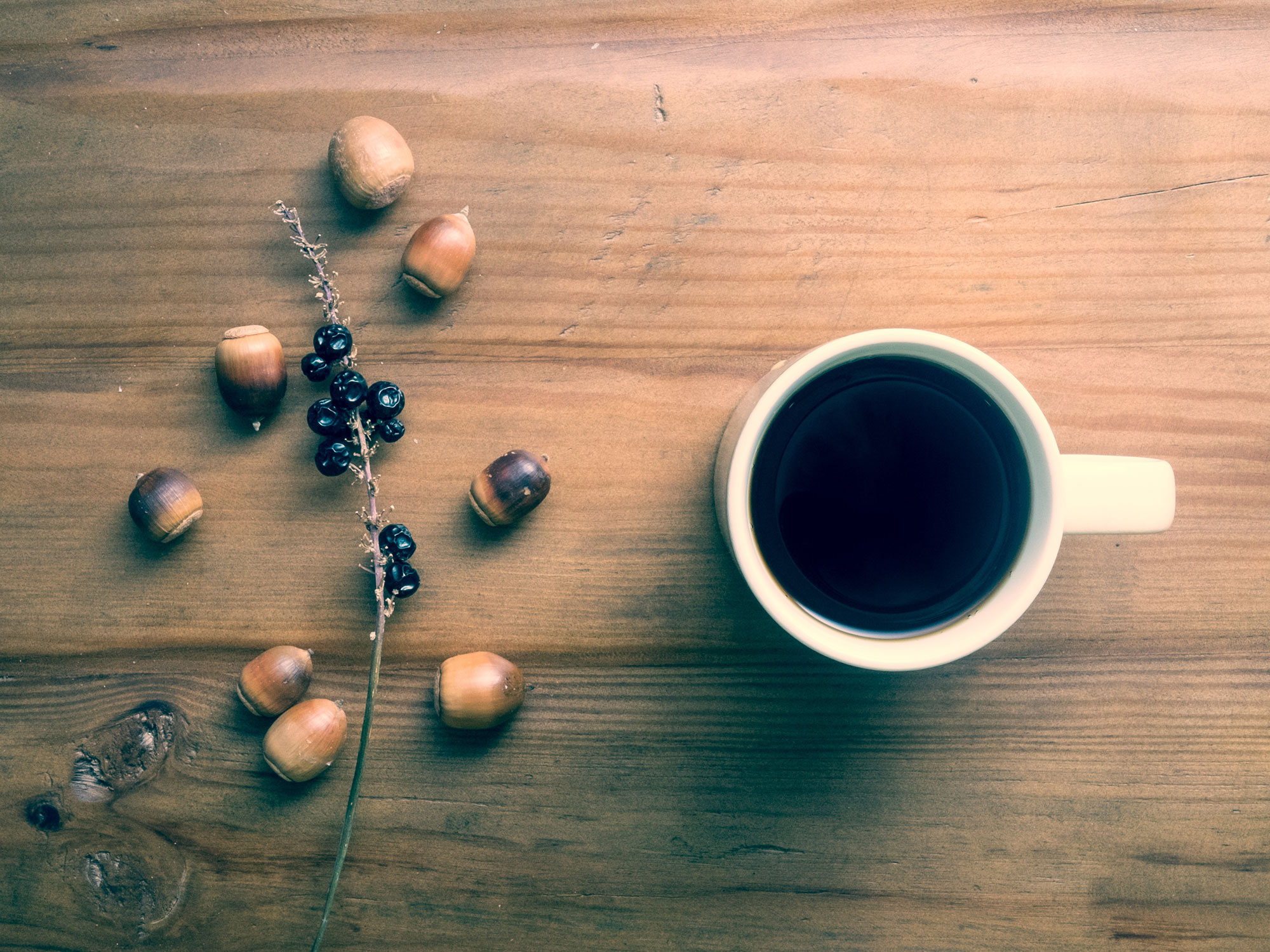 Coffee Substitutes During the Civil War • Spotter Up