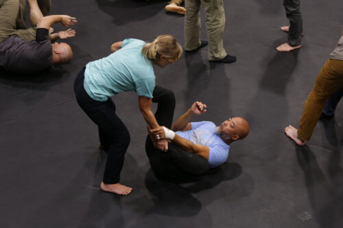 BJJ practitioners demonstrating ground techniques