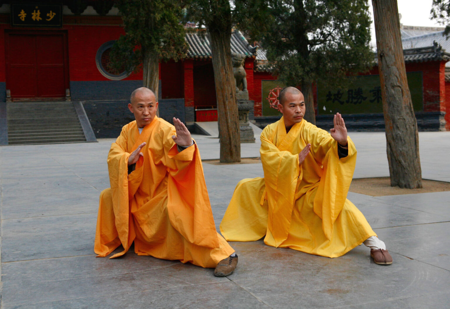 Shaolin Kung Fu: The Ancient Art of Martial Mastery • Spotter Up